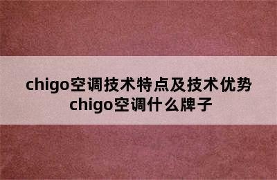 chigo空调技术特点及技术优势 chigo空调什么牌子